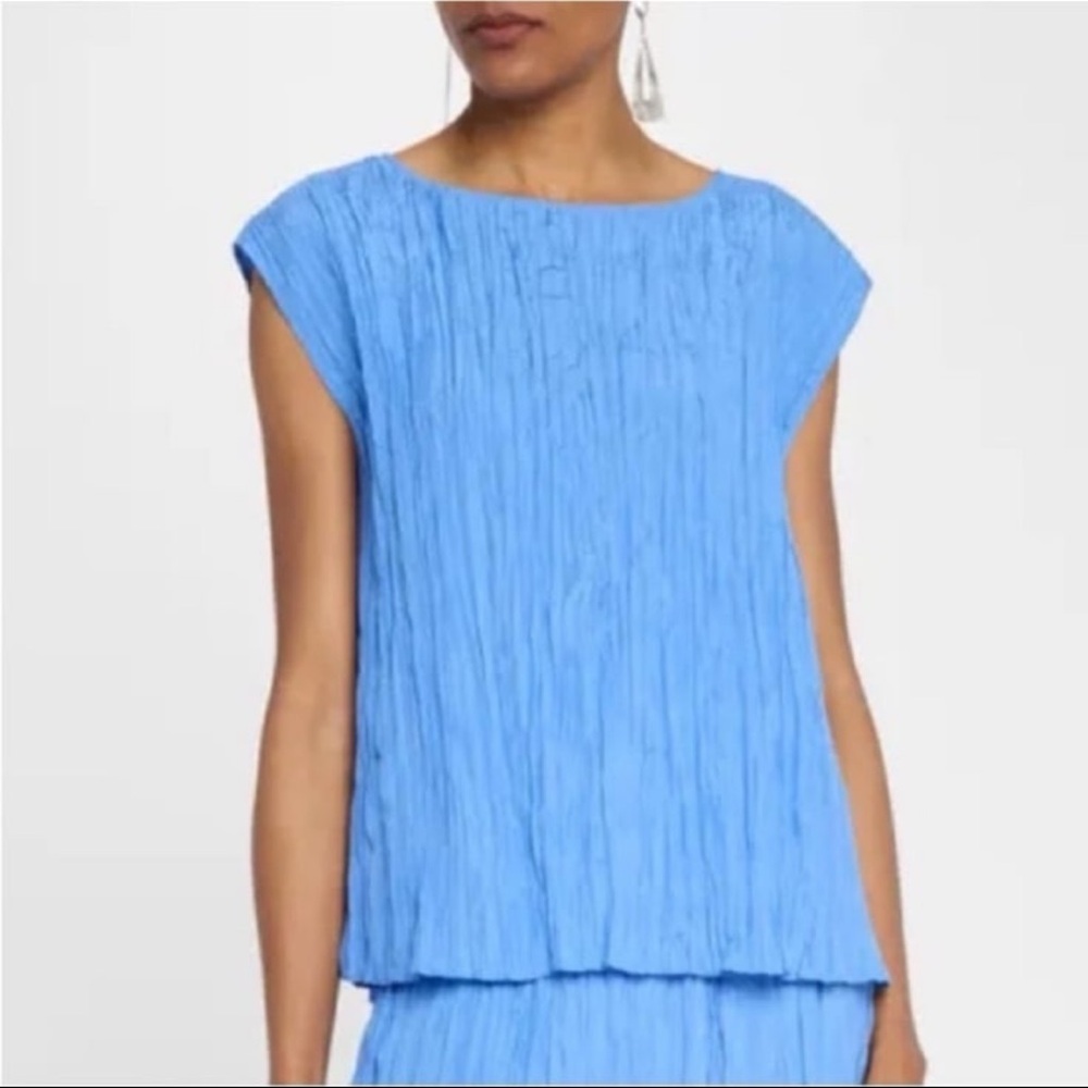 NWT Eileen Fisher Crushed Silk Ballet Neck Top